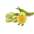 20250115_115932.png