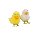20250115_120005.png