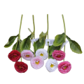 67ff805c8efa567ae536fbefbc366f5a.png