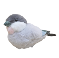 DSC_5720_190916.png