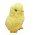 DSC_5712_190886.png