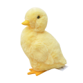 90794.png