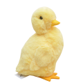 DSC_5714_190794.png