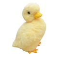 DSC_5716_190879.png