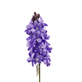 20250220_121204-.png
