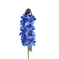 20250220_121124-.png