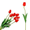 tulipan gumowy czerwony.png