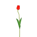 20250224_161056.png