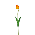 20250224_161125.png
