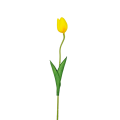20250224_161223.png