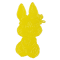 20250228_125010.png