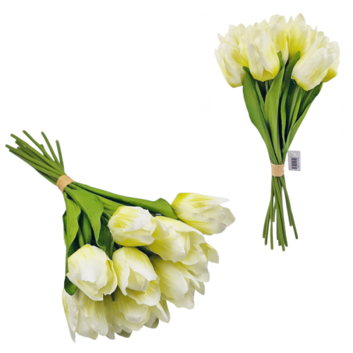 tulipany białe 12szt.png