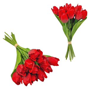 Tulipany CZERWONE bukiet 12szt /19315-RE