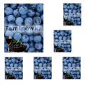 tarninówka.png