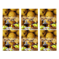 pigwa 6.png