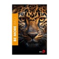zes-a4wili-01001-be-more-zeszyt-a4-wild-linia-72-strony-100-g.jpg