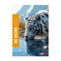 zes-a4wili-01001-be-more-zeszyt-a4-wild-linia-72-strony-100-g (1).jpg