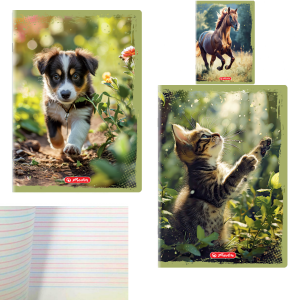Zeszyt A4/32k. linia podwójna kolor DO NAUKI PISANIA Animals /83090