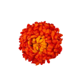 chryzantema pomarańczowa 1.png