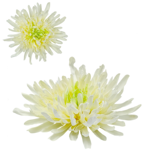 Kwiat sztuczny CHRYZANTEMA strzępiasta 20cm główka /74214-1
