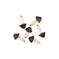 113.png