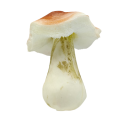 91.png