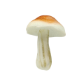 0843.png