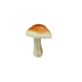 843.png