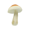 43.png