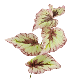 Gałązka BEGONIA - liście - dodatek florystyczny 65 cm /66753-B