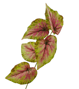 Gałązka BEGONIA - liście - dodatek florystyczny 65 cm /66753-C