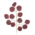 0313-BRD.png