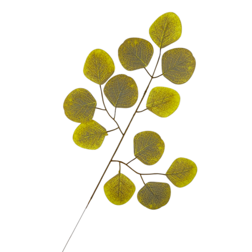 00313-OLS.png