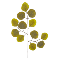 0313-OLS.png