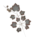 00269-1-BRDZ.png