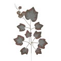 0269-1-BRDZ.png