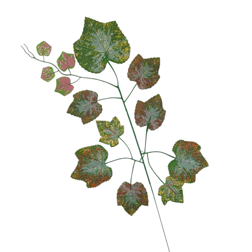 00269-2-CZP.png