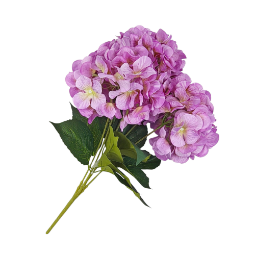 64759-3.png
