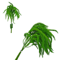 804224-C.png