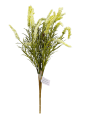09025-C.png