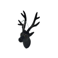 3632.png