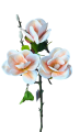 72555-magnolia-bb.png