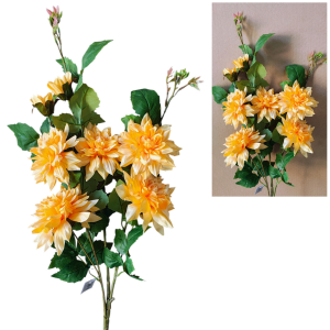 Dalia łososiowa - bukiet 80cm 7 kwiatów /66326Ł
