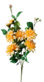 66326-dalia-ł.png
