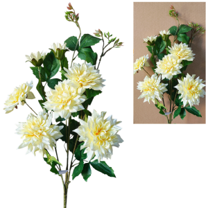 Dalia kremowa - bukiet 80cm 7 kwiatów /66326K