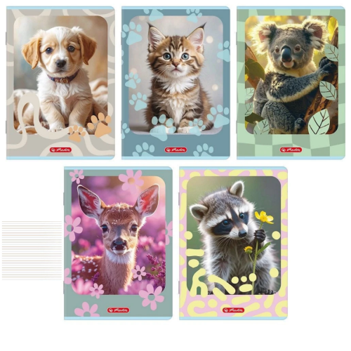 57749.png