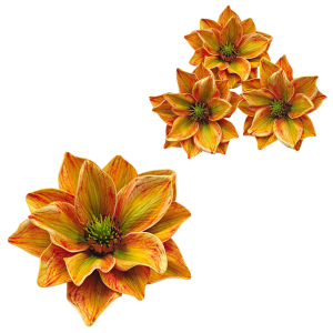 Kwiat sztuczny MAGNOLIA piankowa 13cm główka /30594-5