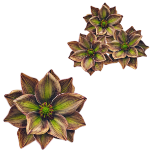 Kwiat sztuczny MAGNOLIA piankowa 13cm główka /30594-4