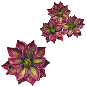 Kwiat sztuczny MAGNOLIA piankowa 13cm główka /30594-3