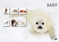 Baby-brez-pasic1_Del51.jpg